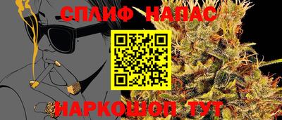 ECSTASY Дубна