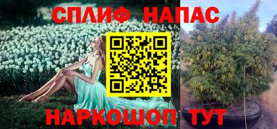 ECSTASY Дубна