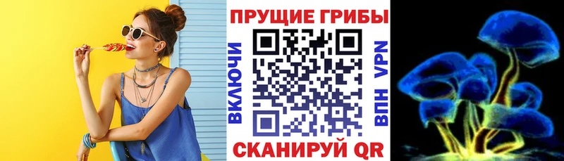 продажа наркотиков  Наро-Фоминск  KRAKEN зеркало  Псилоцибиновые грибы Cubensis 