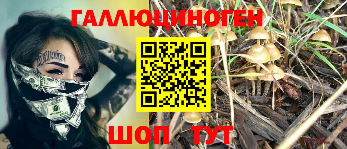 Псилоцибиновые грибы Cubensis  Галлюциногенные грибы Psilocybine cubensis  Наро-Фоминск  Вход с VPN 